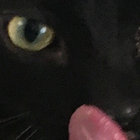 JFrausto thumbnail