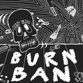 Burn Ban image
