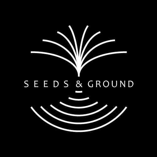 We hear the last decades dreaming | Chari Chari | SeedsAndGround