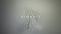 DIMNESS image