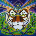 Mystic Tiger image