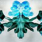jg-soja thumbnail