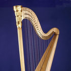cellotti thumbnail