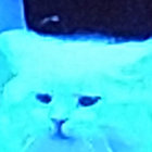 michael  thumbnail