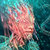 Bandcamp profile picture for @omart
