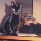 moreau33 thumbnail