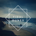 Tidal Dunes image