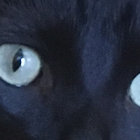 Christina X thumbnail