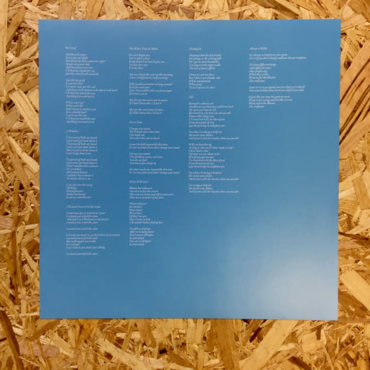 THE RADIO DEPT. 「Pet Grief」 LPレコード The Radio Dept.: Pet Grief Vinyl LP – TurntableLab.com
