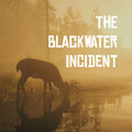 The Blackwater Incident image