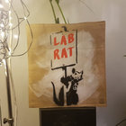 toxteth-arts-lab thumbnail