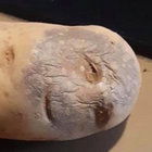 hansalot thumbnail