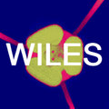 WILES image
