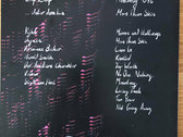 12" Pink Splatter Vinyl Split LP w/ ZilpZalp photo 