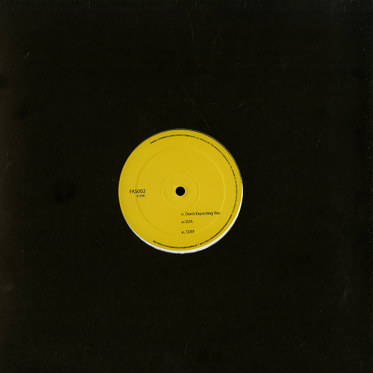 エブエブ　サントラ　LP FAS002 (Vinyl, 12