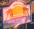Palms on Pacific image