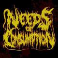 Needs of Consumption image