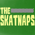 The Skatnaps image