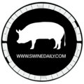 Swine Daily image