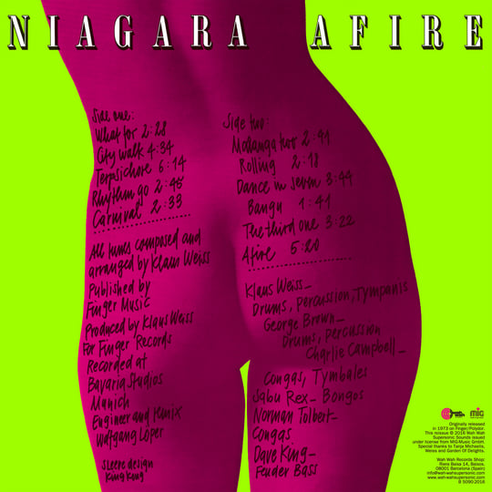 NIAGARA AFIRE 限定盤 レコード
