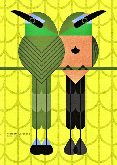 A Guide to the Birdsong of Mexico, Central America & the Caribbean