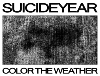 Color The Weather Tour Shirt, image 3