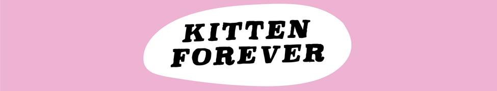 Kitten Forever — Photo