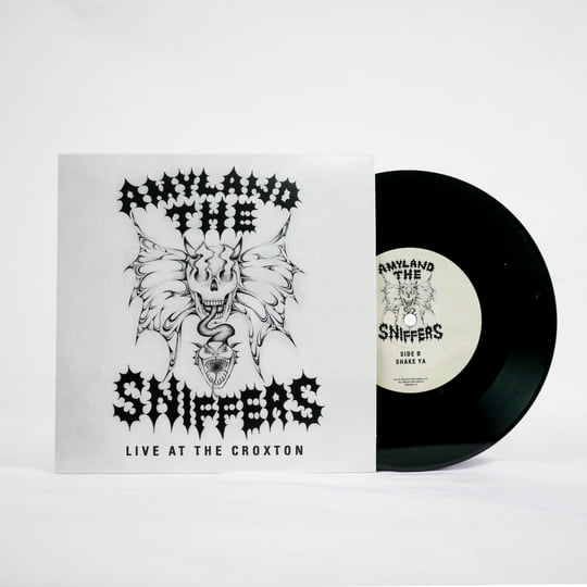 【限定盤グリーン】Amyl and the Sniffers アナログ盤レコード AMYL and THE SNIFFERS | Nasty Little Man