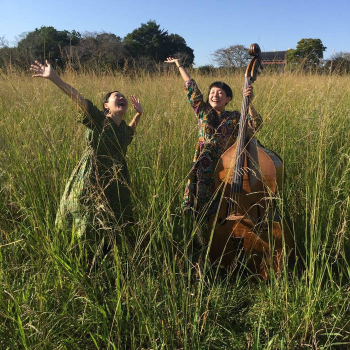 Music | かりきりん karikirin