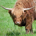 Moove2theGroove thumbnail