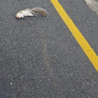 tonywiththebike thumbnail