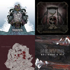 Finis Omnium Ignorantiam | Vulvodynia | Chugcore