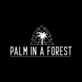 Palm In a Forest image