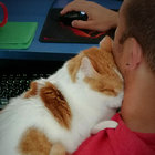 DimAth thumbnail