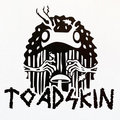Toadskin image