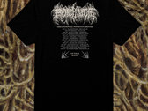 DESCENSION INTO PSYCHOTIC SHORTSLEEVE photo 