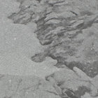 Small Reveal Aidan Knight