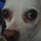 jenzooey2010 thumbnail