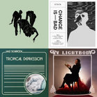 洋楽 Shannon Wright / Flightsafety LP Flightsafety | SHANNON WRIGHT