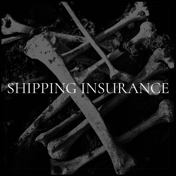 SHIPPING INSURANCE/TRACKED SHIPPING