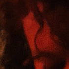 caroline rayner thumbnail