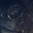 Grouchomarc thumbnail