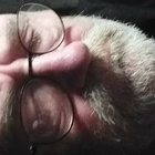 hobodaddi thumbnail