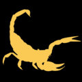 Beware The Dangers Of A Ghost Scorpion! image