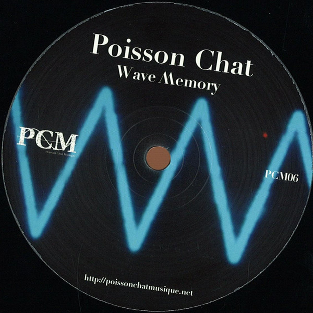 Recording wave. Lead wave memories. on the waves of my memory. internet wave mem. shortwave memories biosphere.