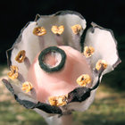 Obschemie thumbnail
