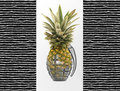 Secular Pineapple image