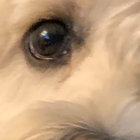 jakbieschr thumbnail