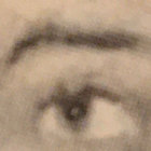 spike thumbnail