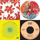 MR. CIRCLE THI NAM LPレコード Mr. Circle – Thi Nam – Vinyl (LP, Album), 1981 [r3682777] | Discogs